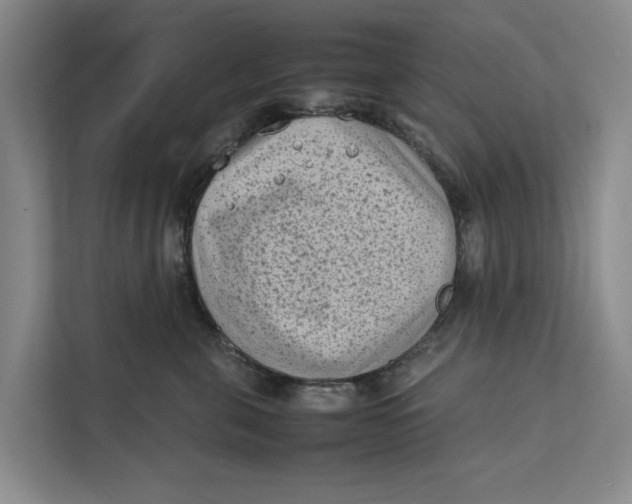 X0000112400571200909041338