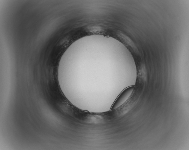 X0000112400572200909041338