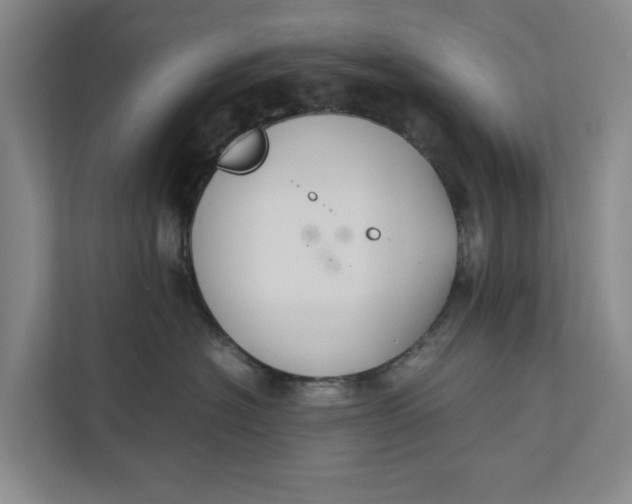 X0000112400574200909041338
