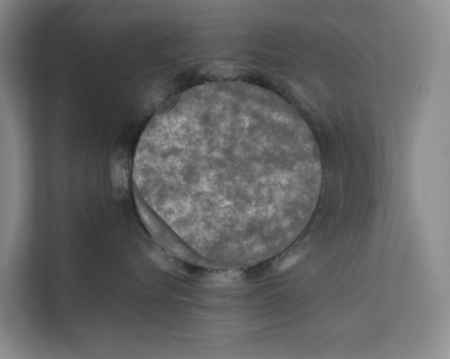 X0000112400576200909041338