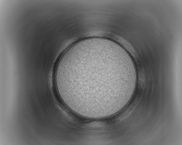 X0000112400578200909041338