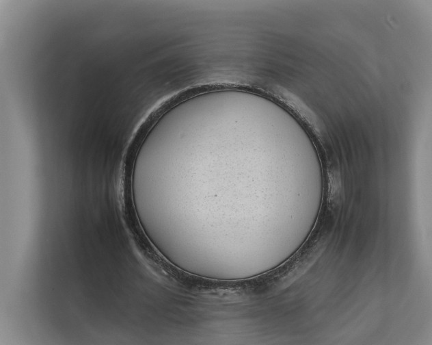 X0000112400580200909041338