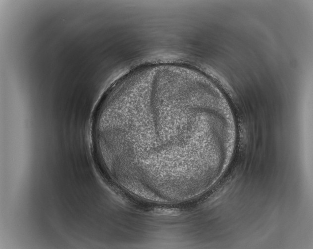 X0000112400582200909041338