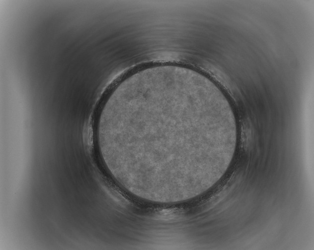 X0000112400584200909041338