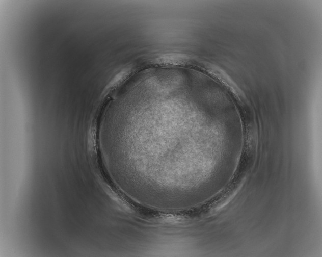 X0000112400585200909041338