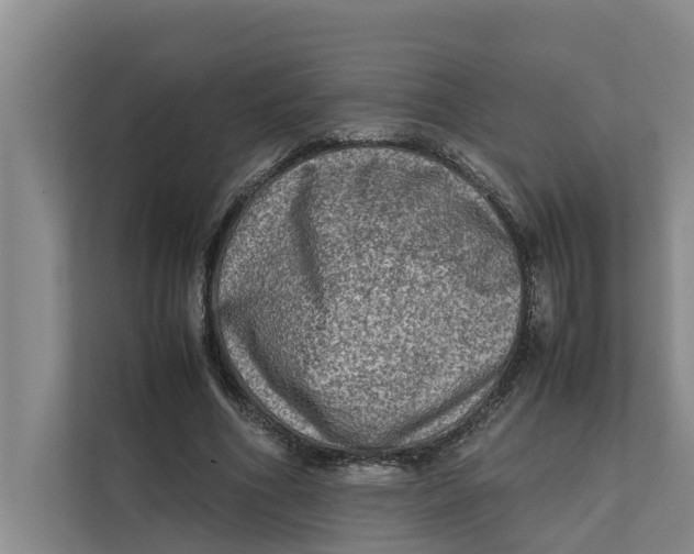 X0000112400586200909041338