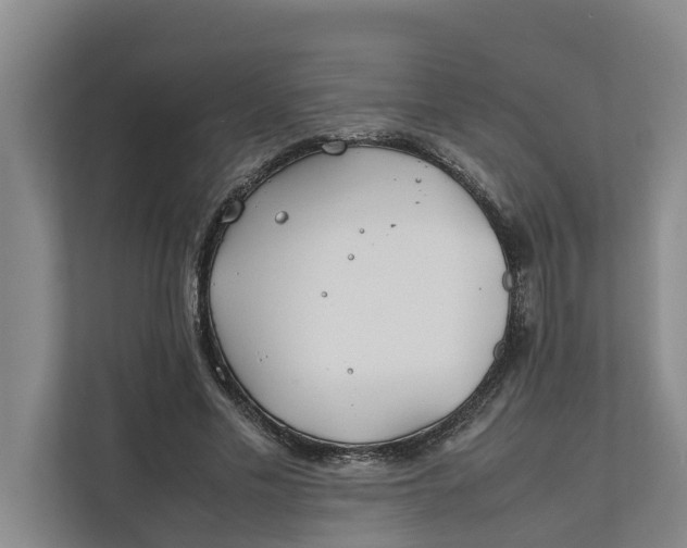 X0000112400589200909041338
