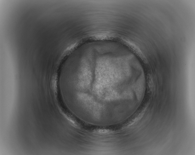 X0000112400590200909041338