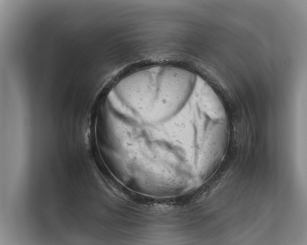 X0000112400592200909041338