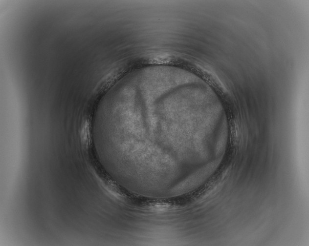X0000112400598200909041337
