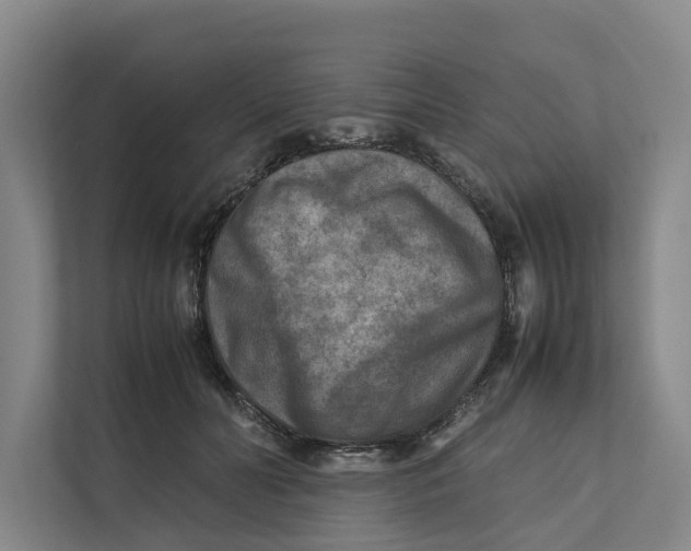 X0000112400606200909041337