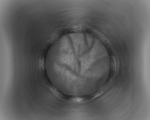 X0000112400610200909041337
