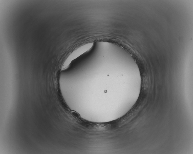 X0000112400613200909041337