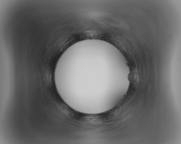 X0000112400615200909041337