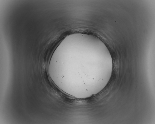X0000112400617200909041337