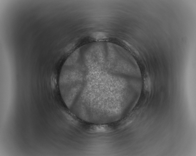 X0000112400618200909041337