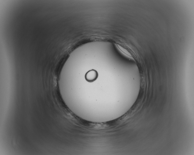 X0000112400621200909041337