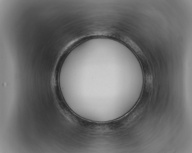 X0000112400628200909041337