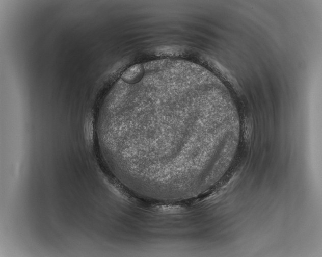 X0000112400637200909041337
