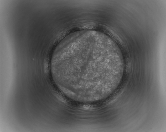 X0000112400641200909041337