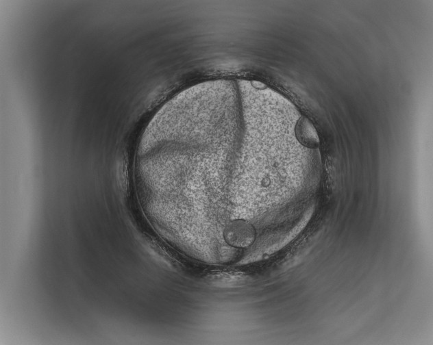 X0000112400642200909041337