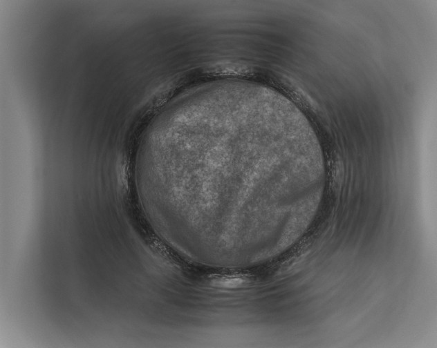X0000112400643200909041337