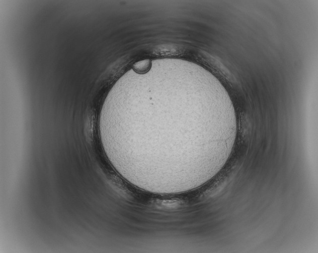 X0000112400645200909041337