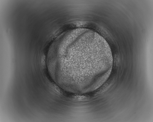 X0000112400650200909041337