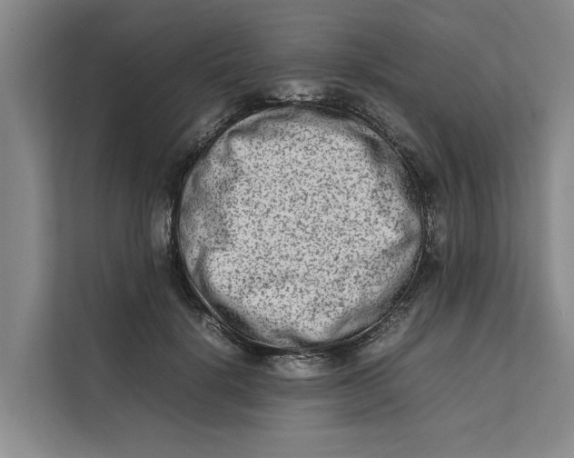 X0000112400652200909041337