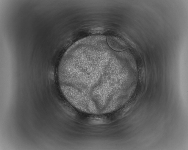 X0000112400655200909041337