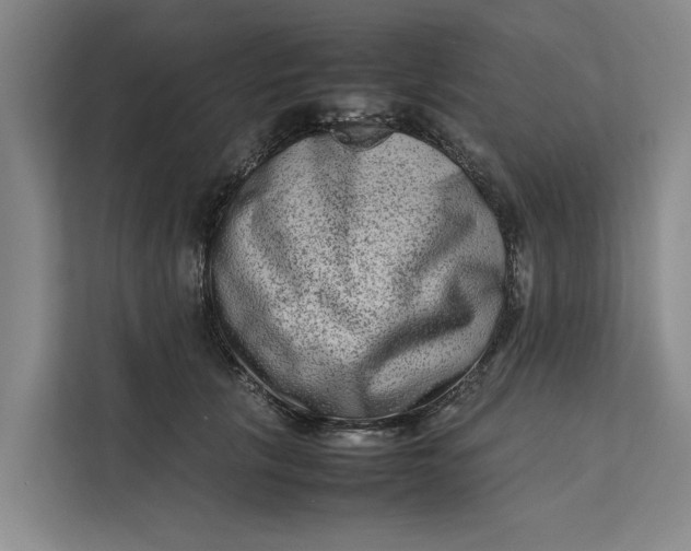 X0000112400657200909041337