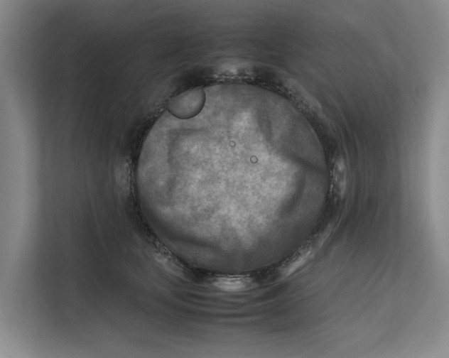 X0000112400659200909041337