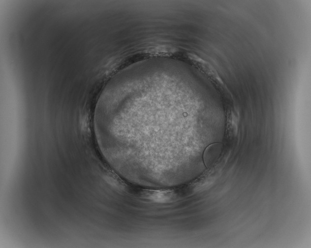 X0000112400663200909041337