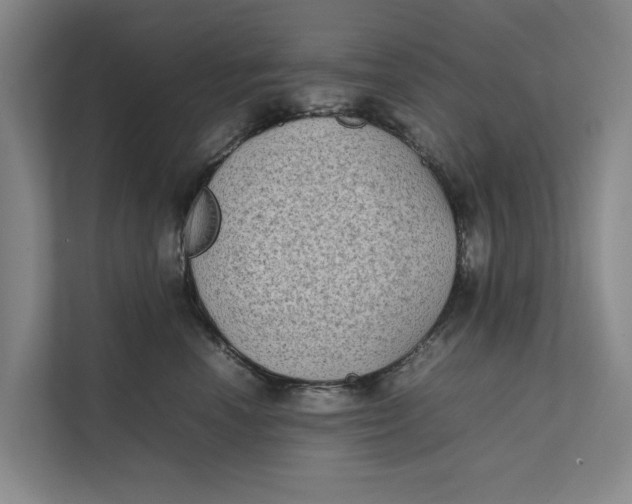 X0000112400666200909041337