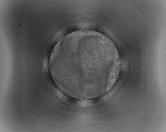 X0000112400670200909041337