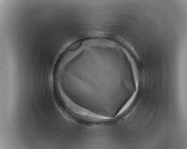 X0000112400674200909041336