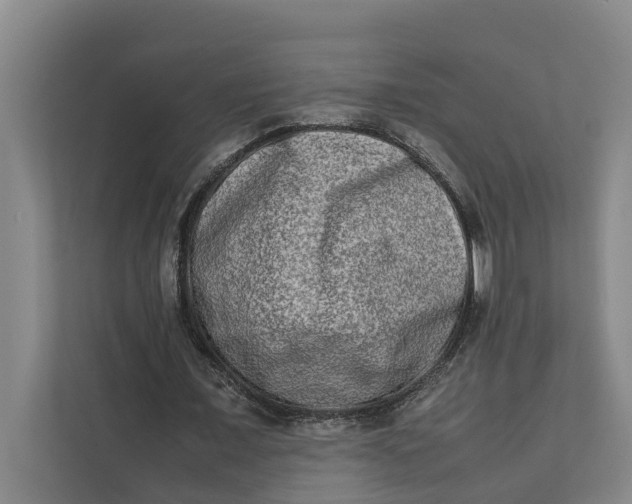 X0000112400675200909041336