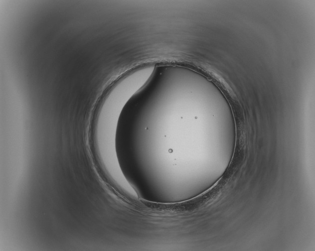 X0000112400677200909041336