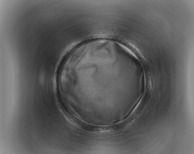 X0000112400678200909041336