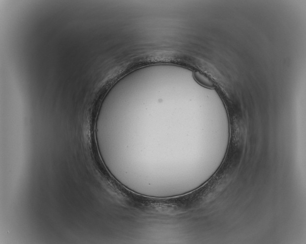 X0000112400681200909041336