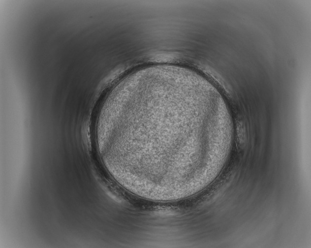 X0000112400682200909041336
