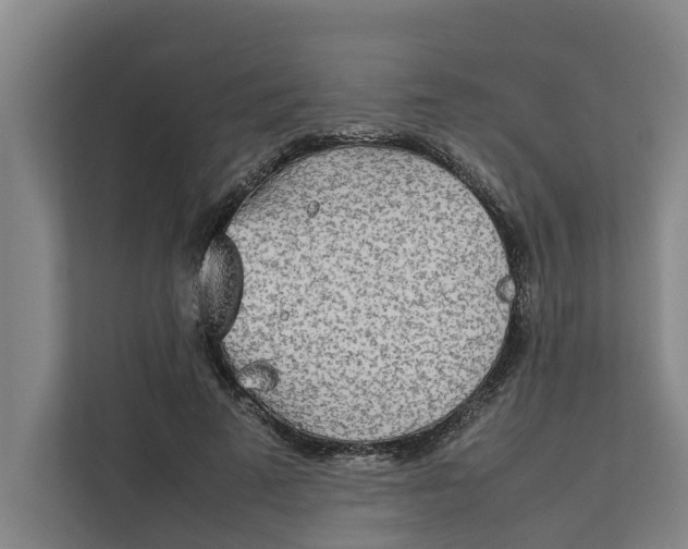 X0000112400689200909041336