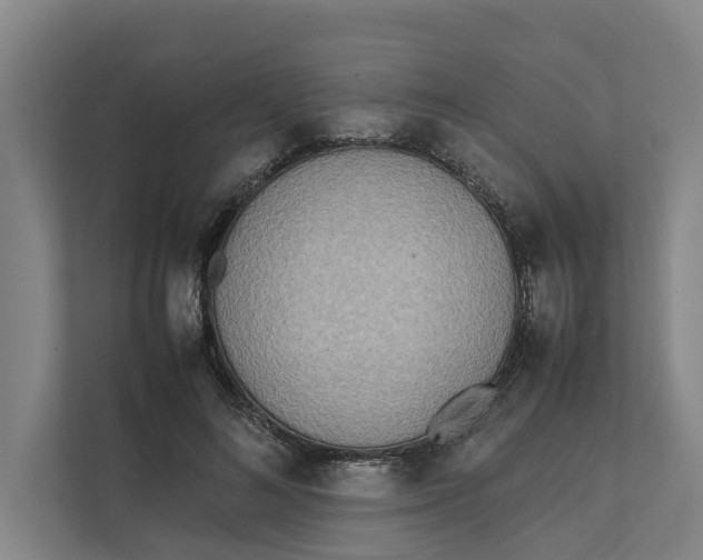 X0000112400692200909041336