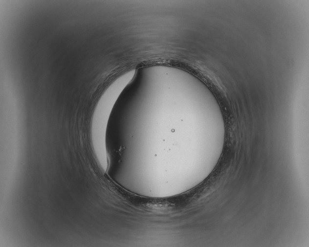 X0000112400693200909041336