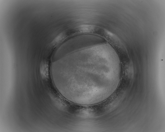 X0000112400696200909041336