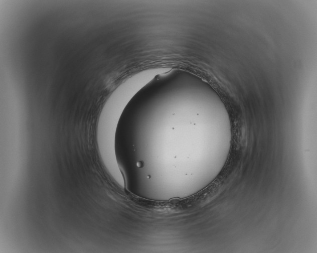 X0000112400704200909041336