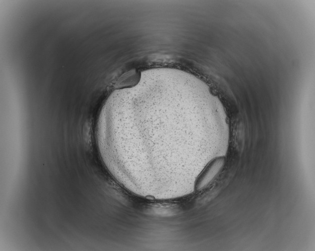 X0000112400708200909041336
