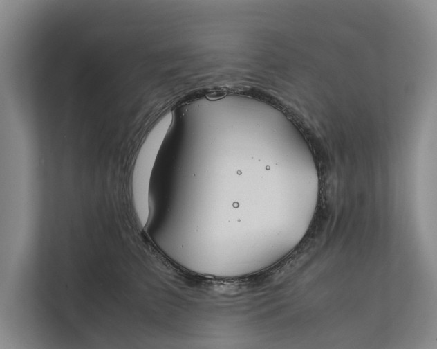 X0000112400709200909041336