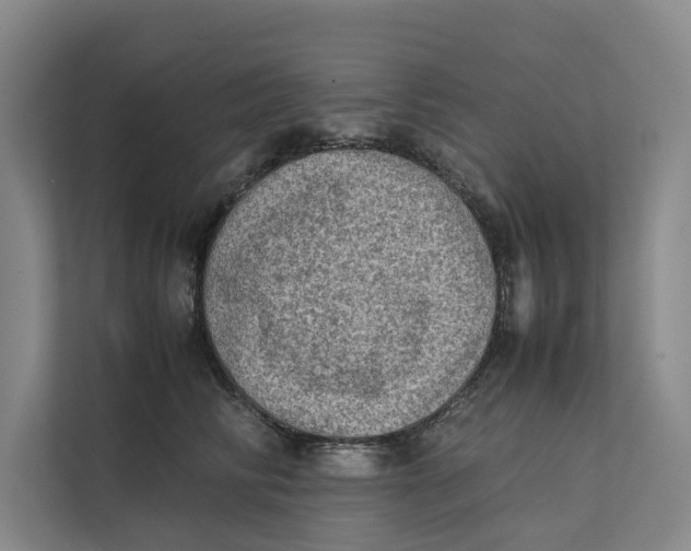 X0000112400710200909041336