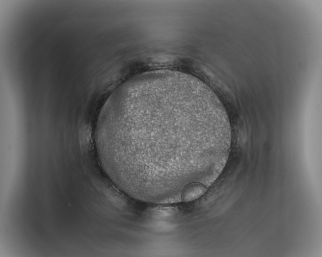X0000112400711200909041336
